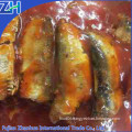 sardines in can 155g in tomato sauce in sailing